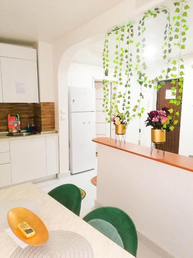Apartament Near The Park Two Rooms บูคาเรสต์ ภายนอก รูปภาพ